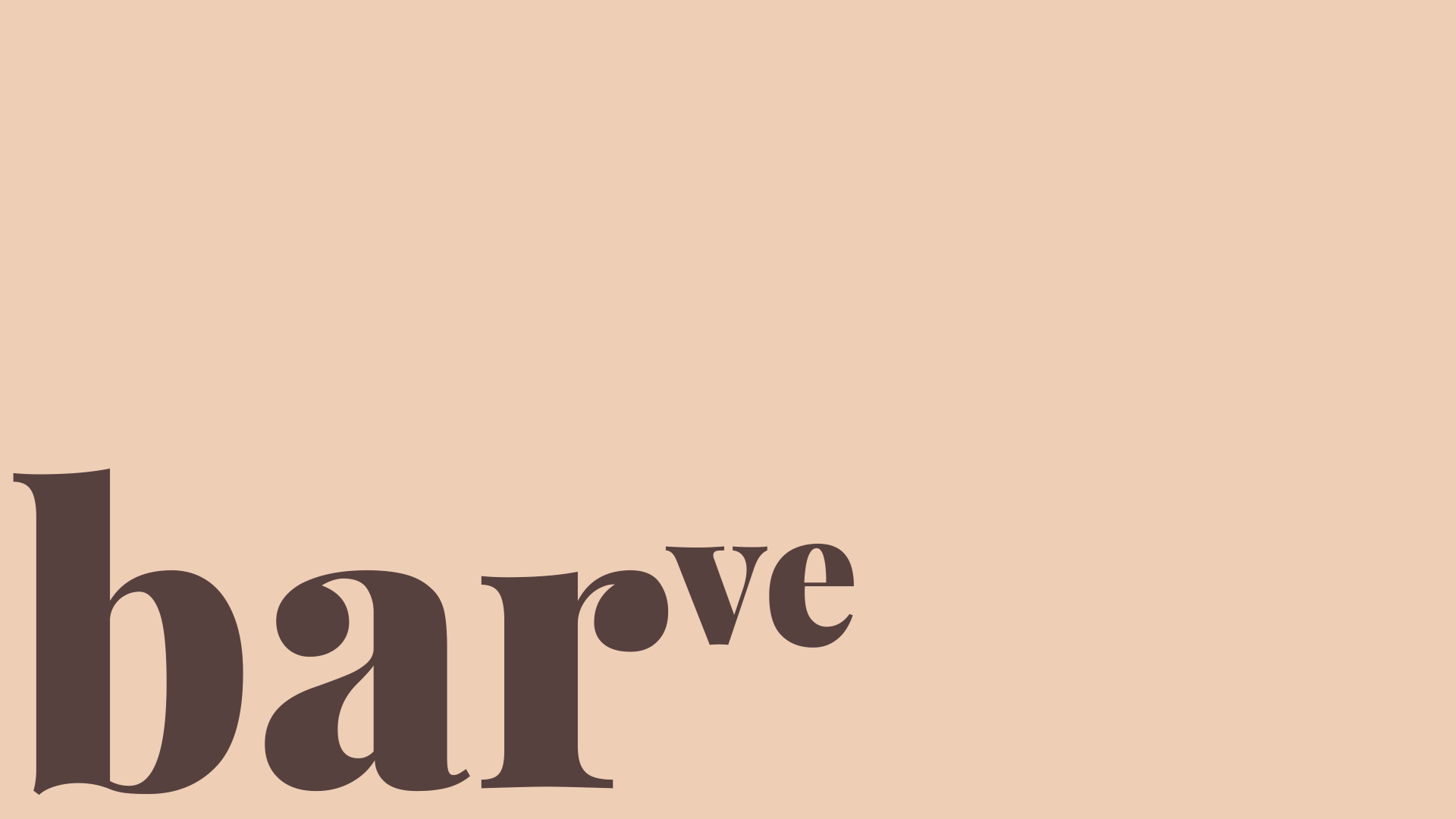 identiteta-blagovne-znamke_barve
